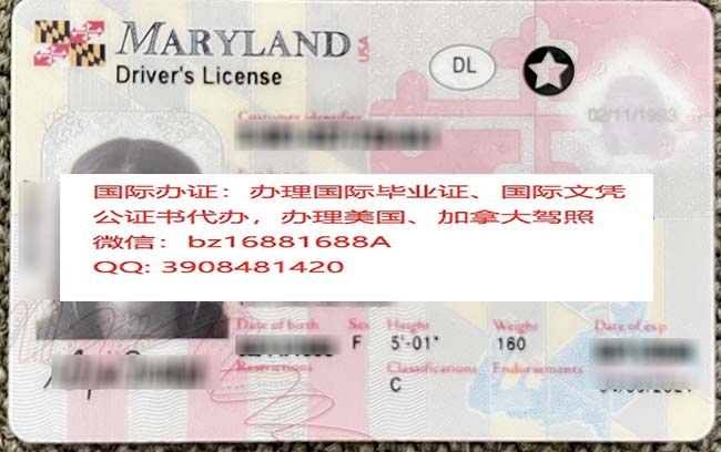 �����������ݼ��ա���ʻ֤