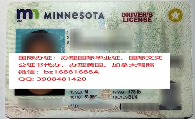 ������Ъ���ݼ���