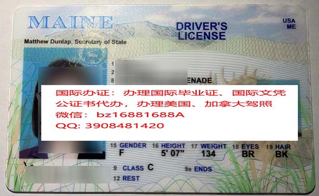 ���������ݼ���