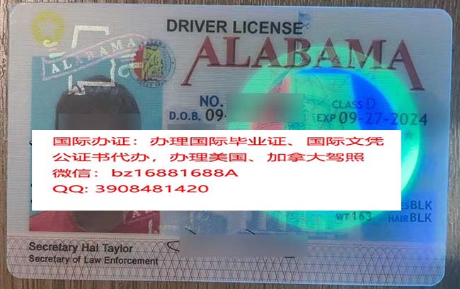 �������������ݼ���