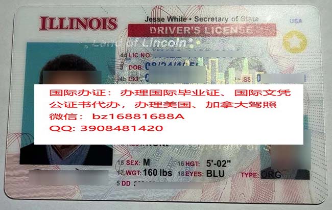 ��������ŵ���ݼ���