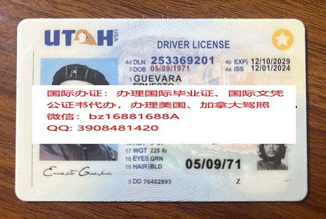 ���������ݼ���