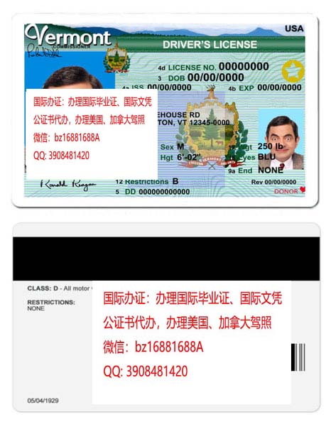 �����������ݼ���