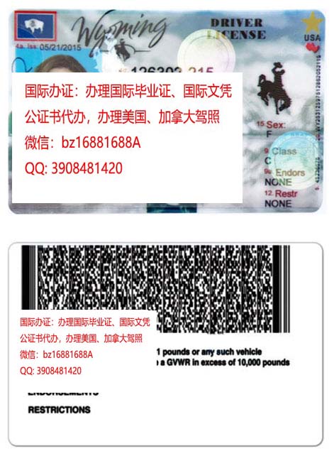 �����������ݼ���