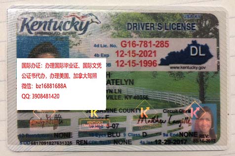 �����������ݼ��ա���ʻ֤