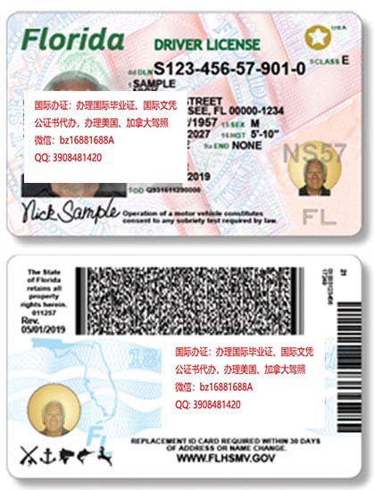 ������������ݼ���