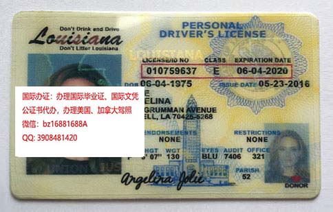 ����·��˹�����ݼ��ա���ʻ֤